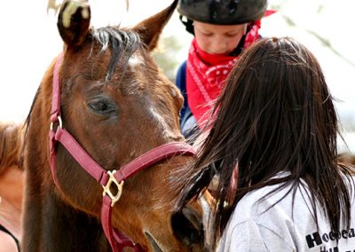 Invest in Healing through Equine-Assisted Therapy: Transforming Lives at Hoofbeats with Heart