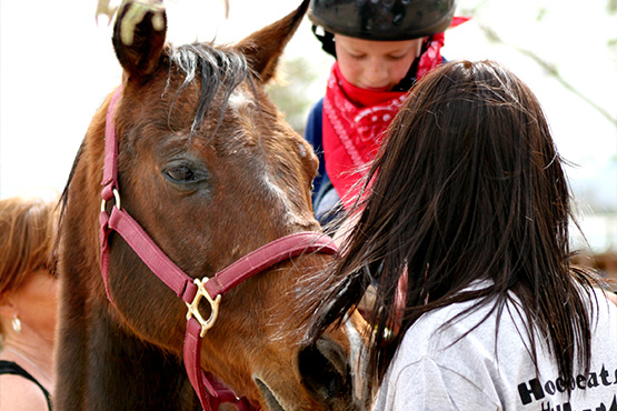 Invest in Healing through Equine-Assisted Therapy: Transforming Lives at Hoofbeats with Heart