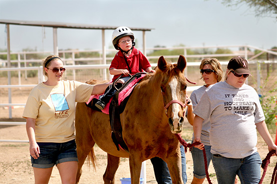 Equine-Assisted Therapy