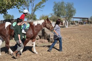 Hippotherapy