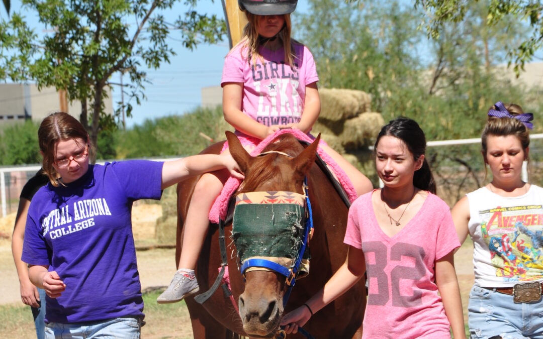 hippotherapy for child with physical disability